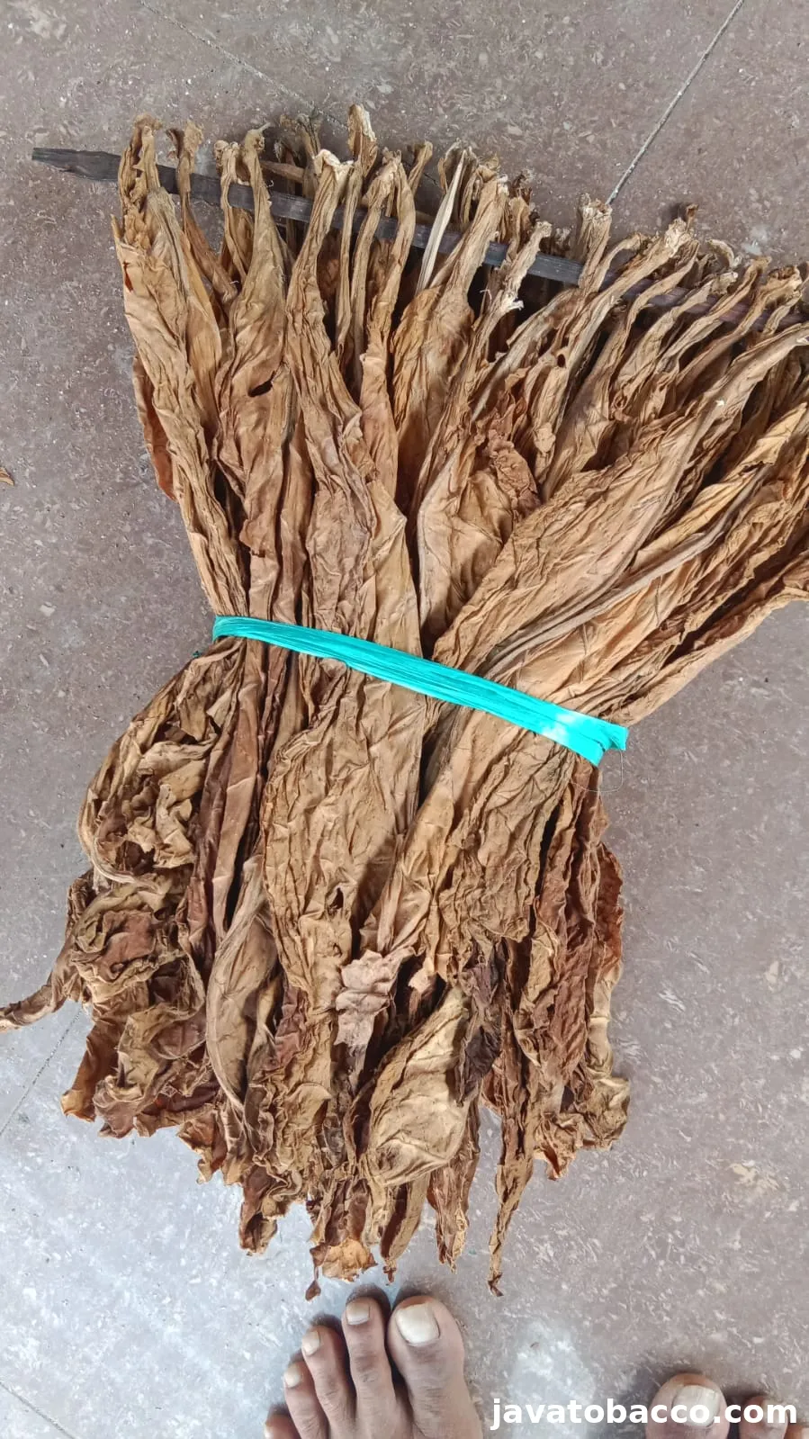 Tembakau Hang Jawa Jombang Loose Leaf