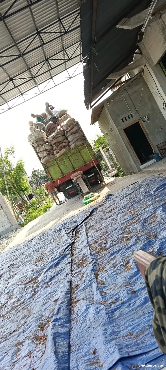 Panduan Bisnis Rokok Minak Jinggo: Keunggulan, Strategi, dan Peluang