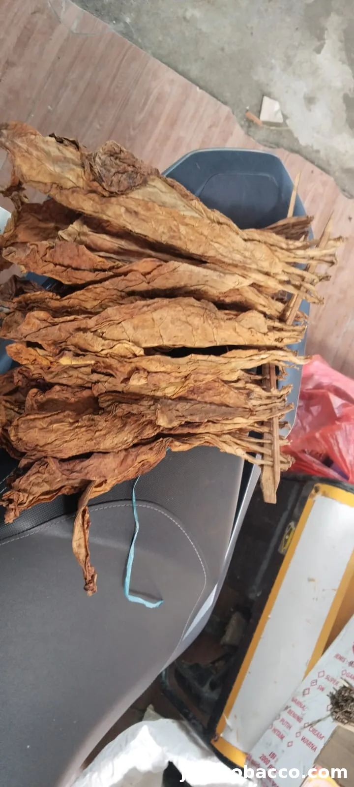 Cara Menilai Kualitas Daun Tembakau dari Aroma, Warna, dan Tekstur