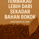 Manfaat Tembakau