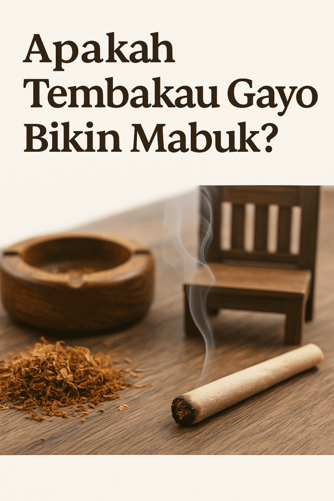 apakah tembakau gayo bikin mabuk?