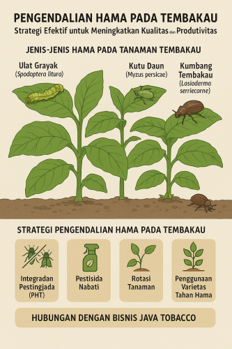 pengendalian hama pada tembakau
