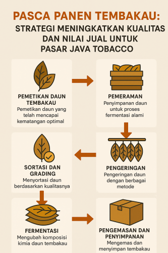pasca panen tembakau
