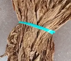 Cara Pembuatan Rokok Tembakau