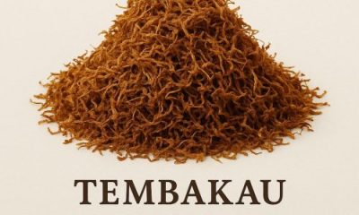 Tembakau Pakpie
