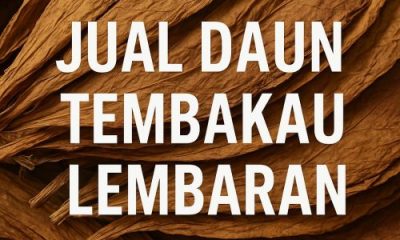 jual daun tembakau lembaran