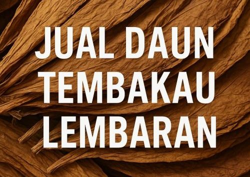 jual daun tembakau lembaran