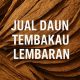 jual daun tembakau lembaran