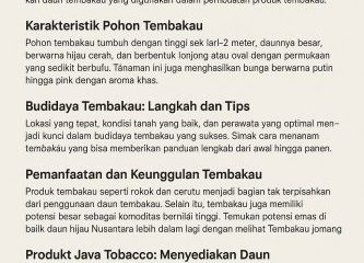 Pohon Tembakau