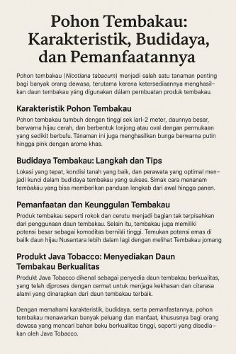 Pohon Tembakau