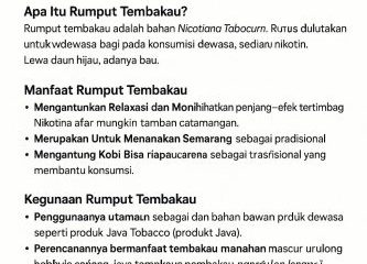 rumput tembakau