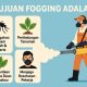Tujuan Fogging