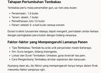 Tembakau Bisa Panen Berapa Bulan