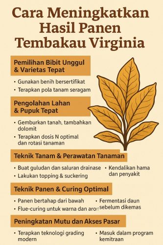 Cara Meningkatkan Hasil Panen Tembakau Virginia