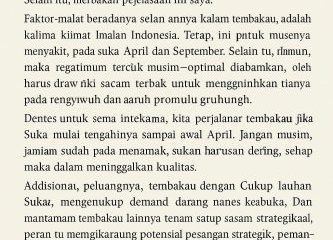 Musim Tanam Tembakau