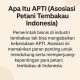 Apa Itu APTI