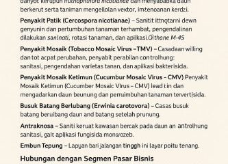 Macam-Macam Penyakit dari Tanaman Tembakau