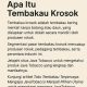 Tembakau Krosok