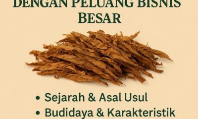 Krosok Jawa Jombang