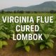 Virginia Flue Cured Lombok