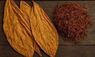 Virginia Flue Cured Brazil
