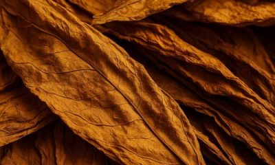 Virginia Flue Cured Import
