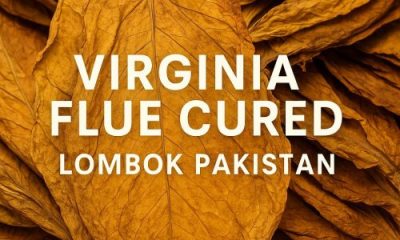 Virginia Flue Cured Lombok Pakistan