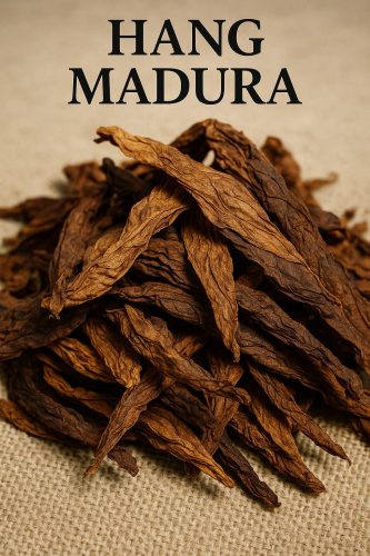 hang madura